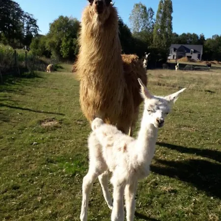 住宿加早餐酒店 Domaine De Pimont 3*