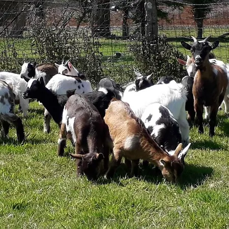 Domaine De Pimont 3*