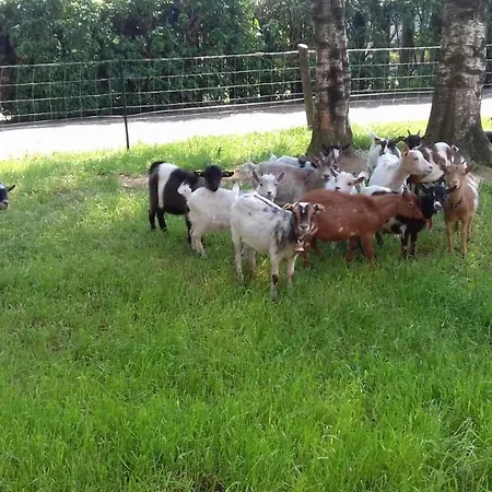 住宿加早餐酒店 Domaine De Pimont 3*