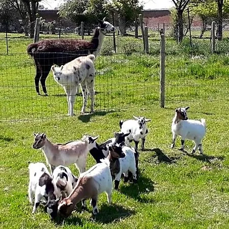 Domaine De Pimont Bed & Breakfast